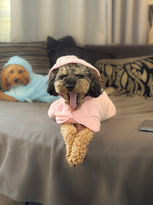 BFR dog drying coat, keep your Dog warm and dry