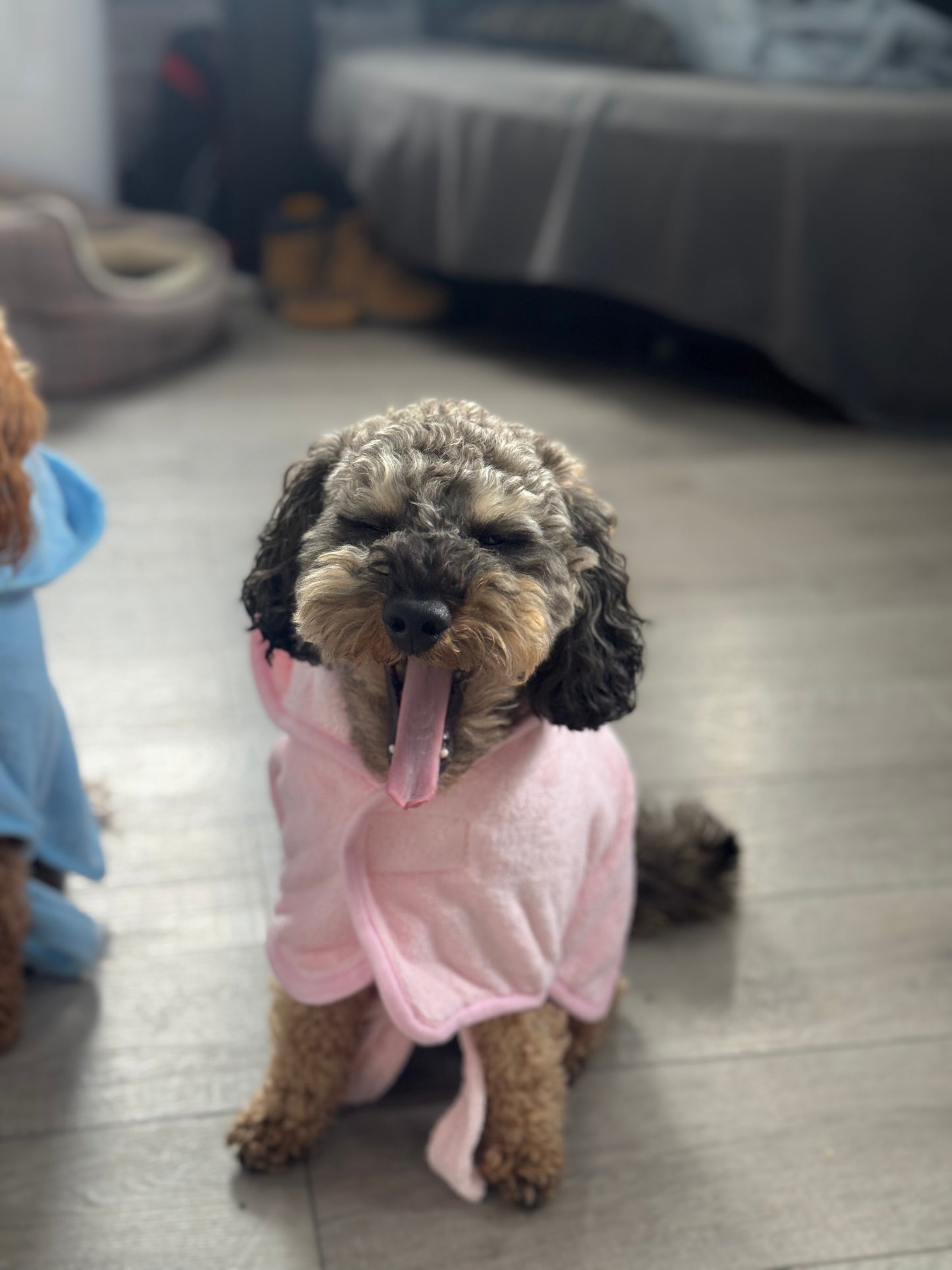 BFR dog drying coat, keep your Dog warm and dry