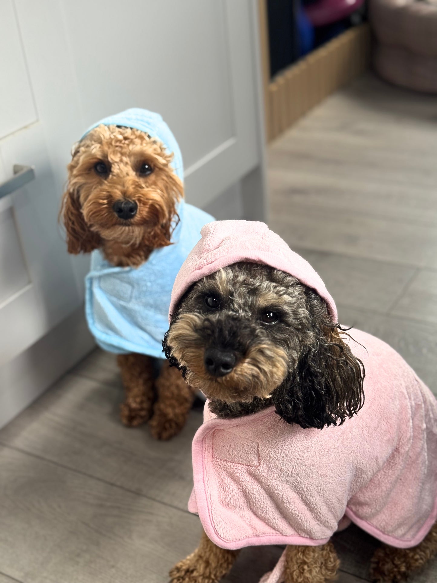 BFR dog drying coat, keep your Dog warm and dry