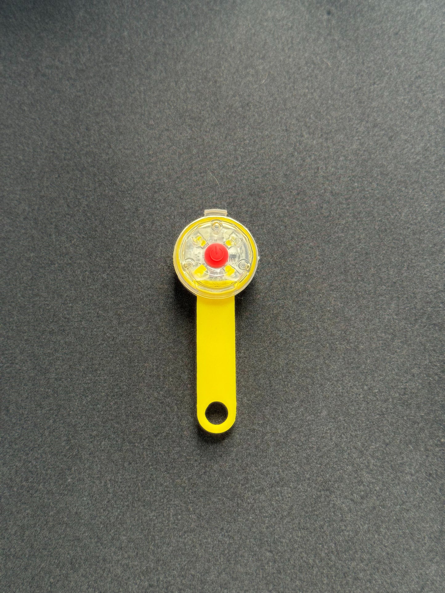 LED Dog Pendant Light – Night Walk Safety