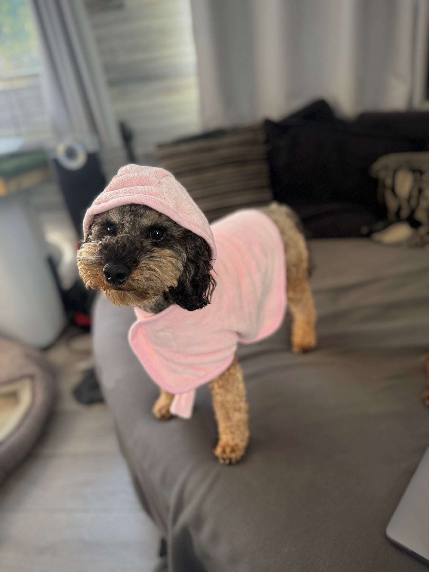 BFR dog drying coat, keep your Dog warm and dry