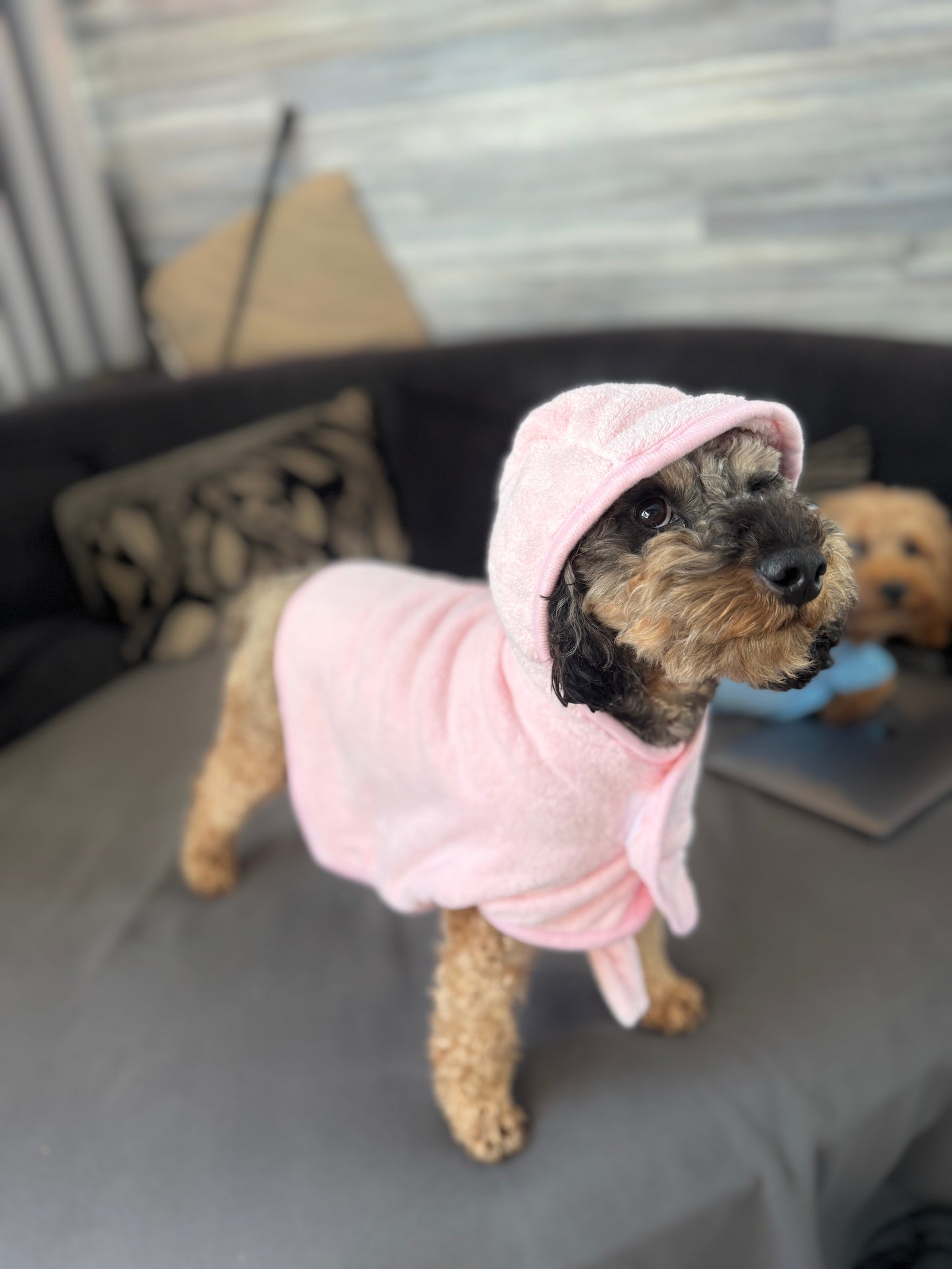 BFR dog drying coat, keep your Dog warm and dry