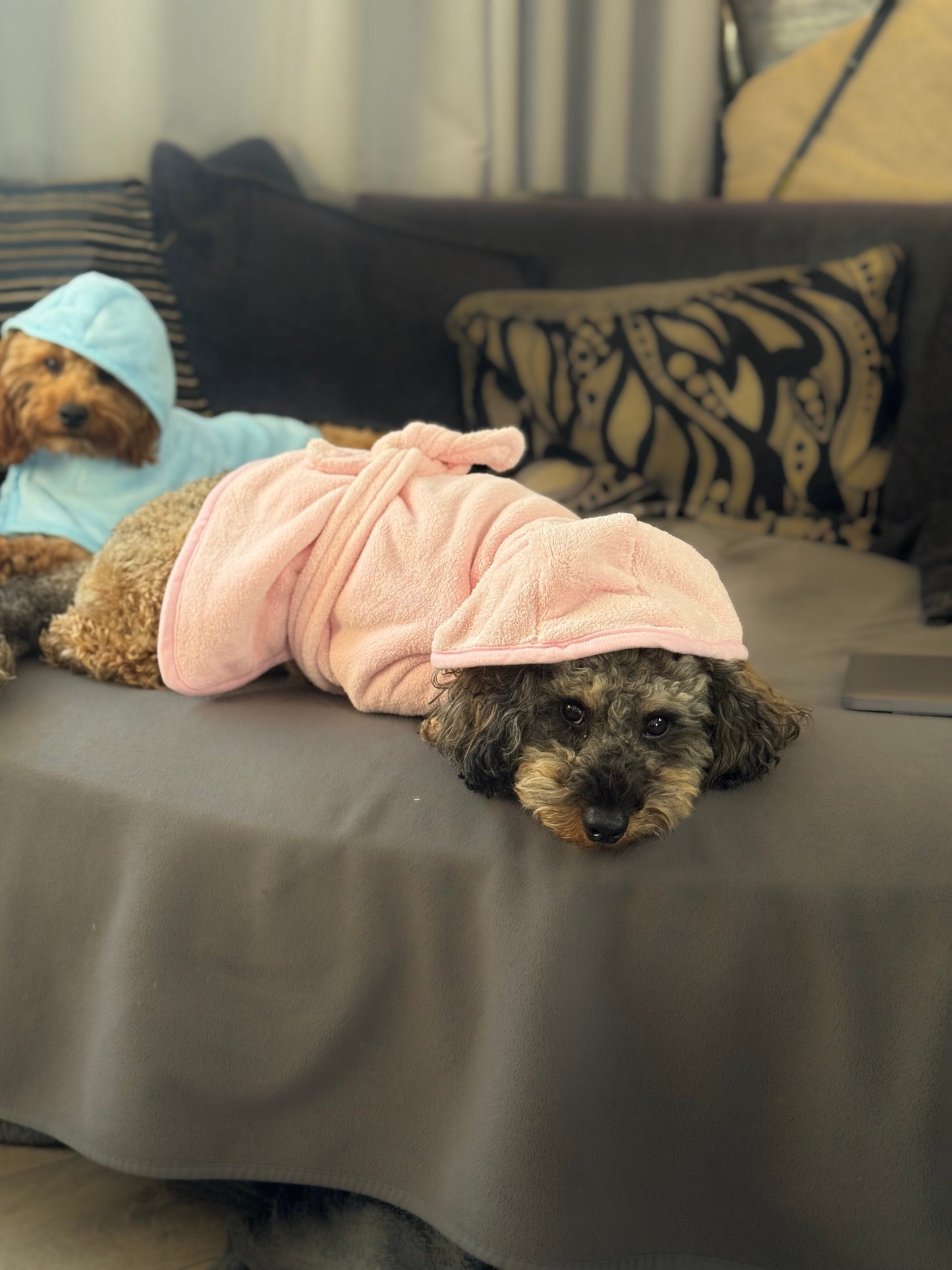 BFR dog drying coat, keep your Dog warm and dry